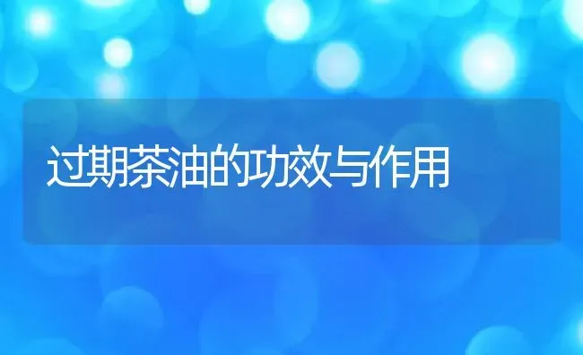 过期茶油的功效与作用 | 养殖资料投稿