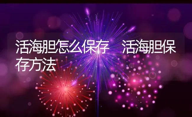 活海胆怎么保存 活海胆保存方法 | 养殖资料投稿