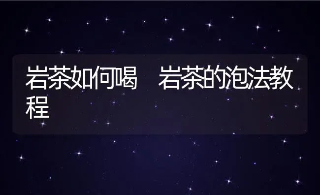 岩茶如何喝 岩茶的泡法教程 | 养殖资料投稿