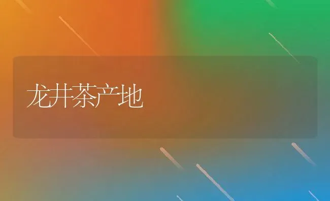 龙井茶产地 | 养殖资料投稿
