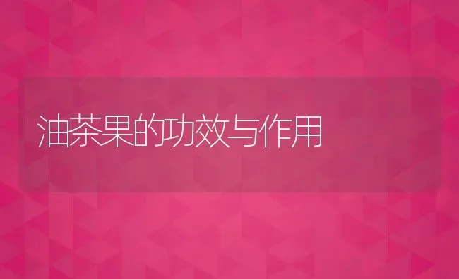 油茶果的功效与作用 | 养殖资料投稿