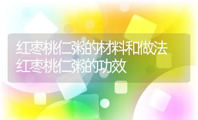 红枣桃仁粥的材料和做法 红枣桃仁粥的功效 | 养殖资讯