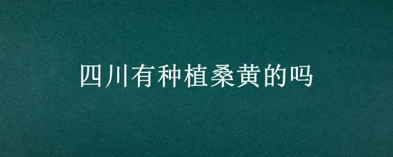 四川有种植桑黄的吗