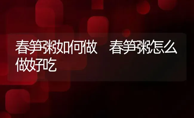 春笋粥如何做 春笋粥怎么做好吃 | 养殖资讯