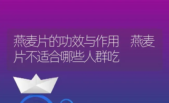 燕麦片的功效与作用 燕麦片不适合哪些人群吃 | 养殖资讯
