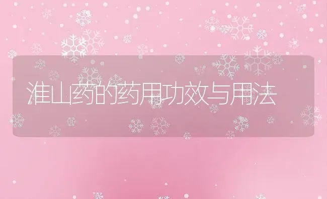 淮山药的药用功效与用法 | 养殖资料投稿