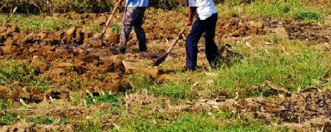 农业生产的重要性水土流失对农业生产的不利影响