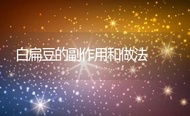 白扁豆的副作用和做法 | 养殖资料投稿