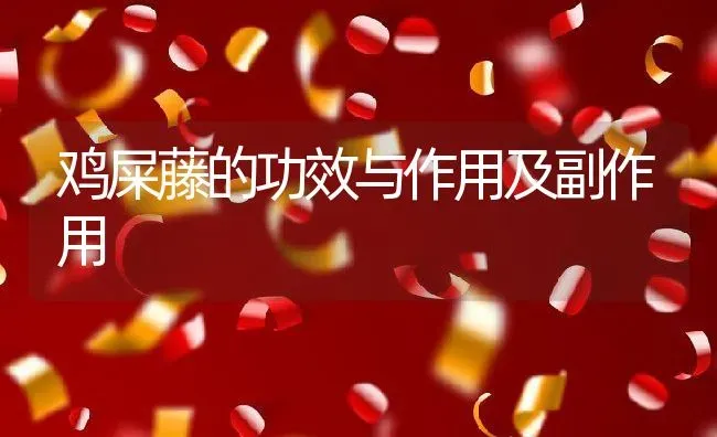 鸡屎藤的功效与作用及副作用 | 养殖资料投稿