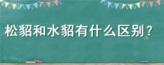 松貂和水貂有什么区别