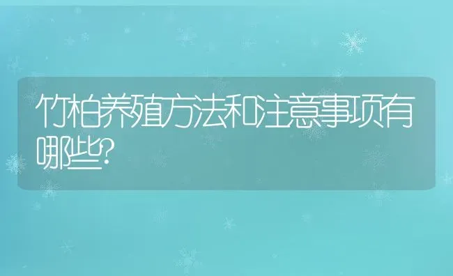 竹柏养殖方法和注意事项有哪些? | 养殖资讯