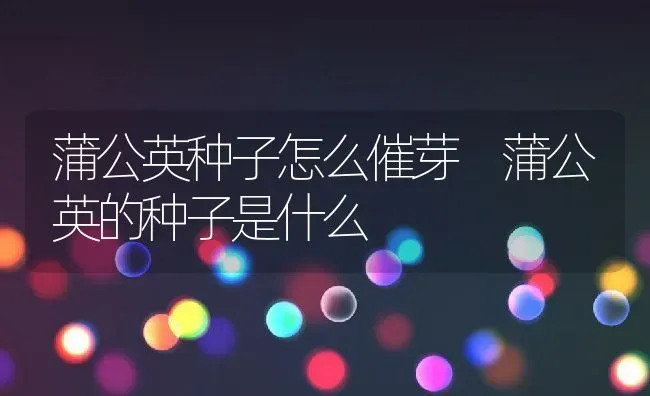 蒲公英种子怎么催芽 蒲公英的种子是什么 | 养殖资料投稿