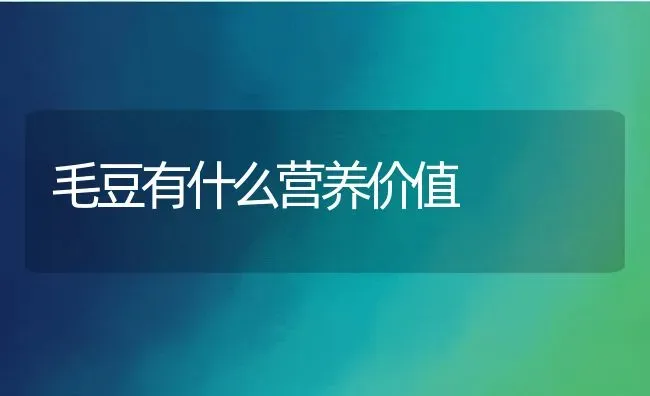 毛豆有什么营养价值 | 养殖资料投稿