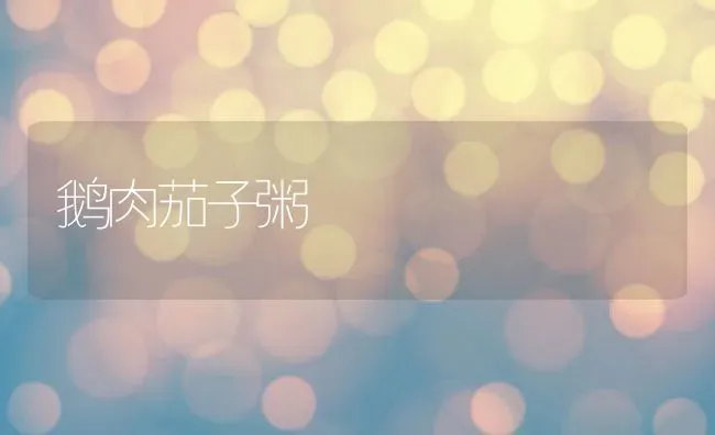 鹅肉茄子粥 | 养殖资料投稿