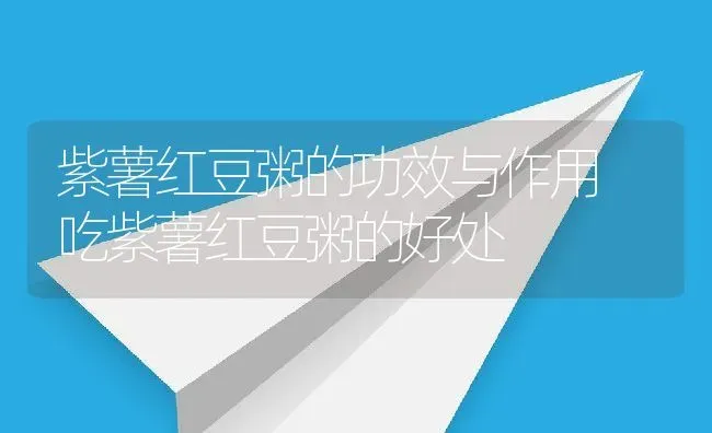 紫薯红豆粥的功效与作用 吃紫薯红豆粥的好处 | 养殖资讯