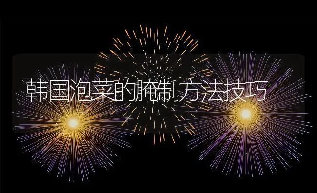 韩国泡菜的腌制方法技巧 | 养殖资料投稿