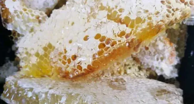 蜂巢和巢蜜的区别