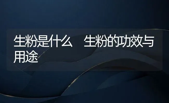 生粉是什么 生粉的功效与用途 | 养殖资料投稿