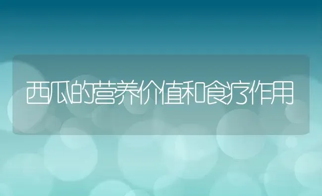 西瓜的营养价值和食疗作用 | 养殖资料投稿