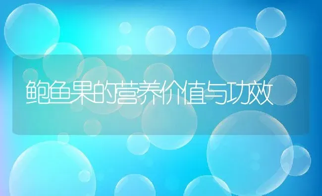 鲍鱼果的营养价值与功效 | 养殖资料投稿