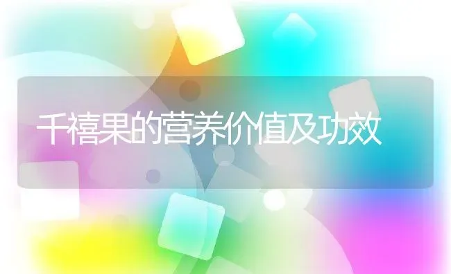 千禧果的营养价值及功效 | 养殖资料投稿