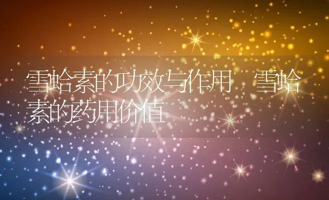 雪蛤素的功效与作用 雪蛤素的药用价值 | 养殖资料投稿