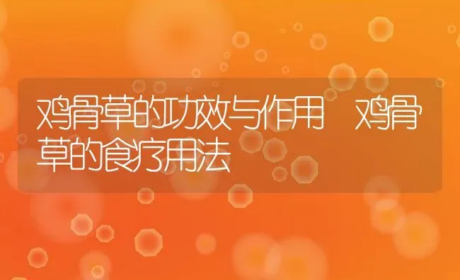 鸡骨草的功效与作用 鸡骨草的食疗用法 | 养殖资料投稿