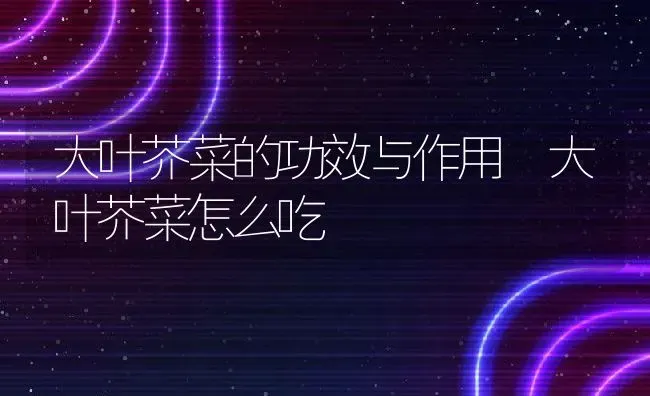 大叶芥菜的功效与作用 大叶芥菜怎么吃 | 养殖资料投稿