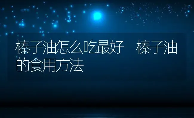 榛子油怎么吃最好 榛子油的食用方法 | 养殖资料投稿