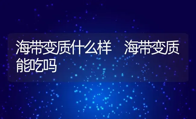 海带变质什么样 海带变质能吃吗 | 养殖资料投稿