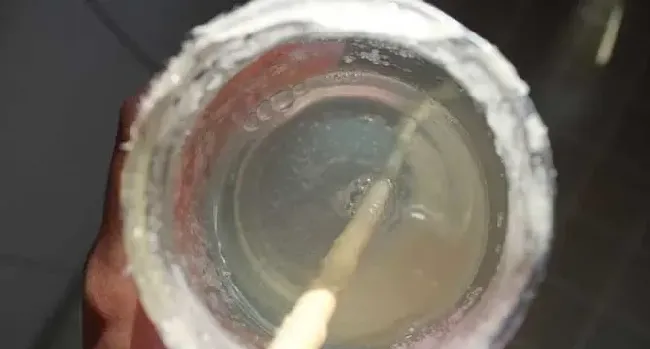 假蜂蜜的特点有哪些