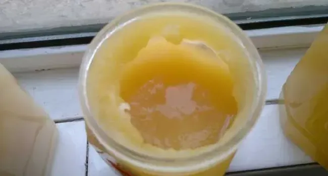 假蜂蜜的特点有哪些