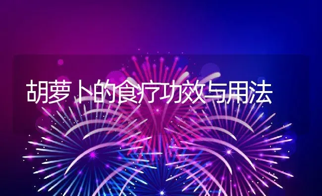 胡萝卜的食疗功效与用法 | 养殖资料投稿