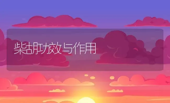 柴胡功效与作用 | 养殖资料投稿