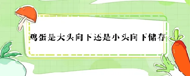 鸡蛋是大头向下还是小头向下储存