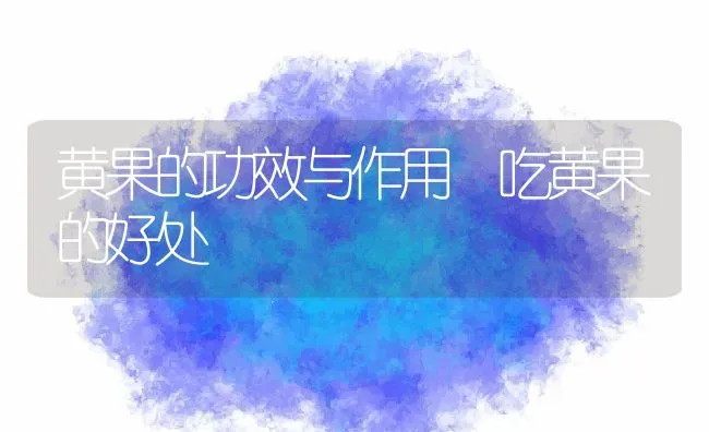 黄果的功效与作用 吃黄果的好处 | 养殖资料投稿