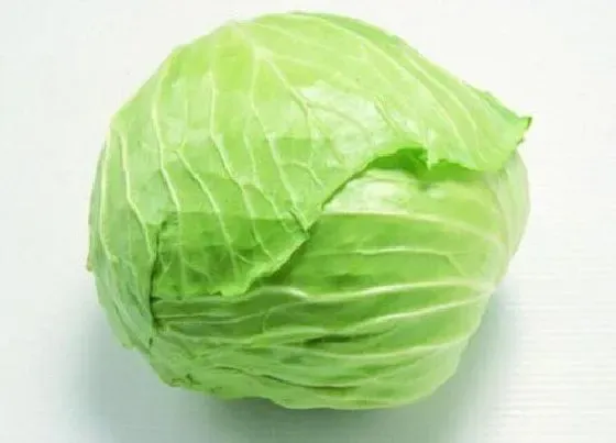 蔬菜|包菜是什么菜