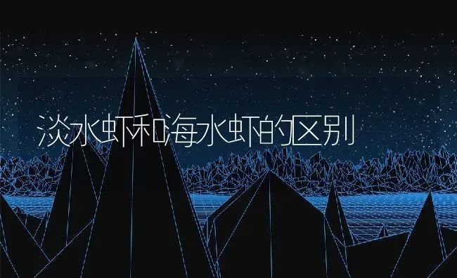 淡水虾和海水虾的区别 | 养殖资料投稿