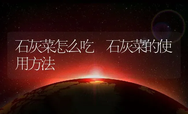 石灰菜怎么吃 石灰菜的使用方法 | 养殖资料投稿