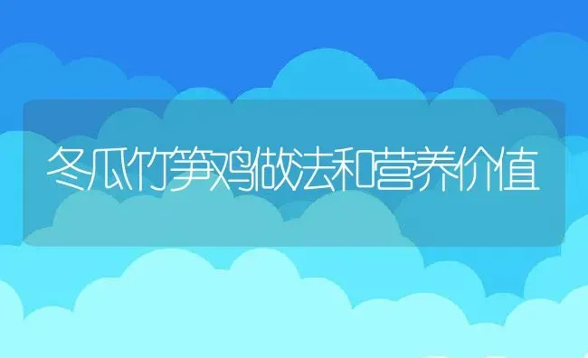 冬瓜竹笋鸡做法和营养价值 | 养殖资料投稿