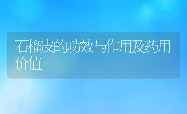 石榴皮的功效与作用及药用价值 | 养殖资料投稿