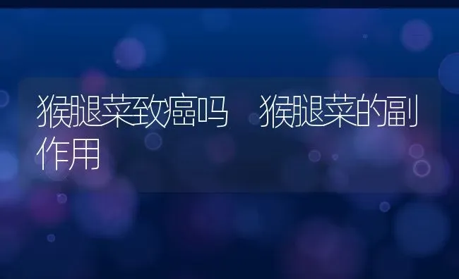 女人吃荆芥有什么好处 | 养殖资料投稿