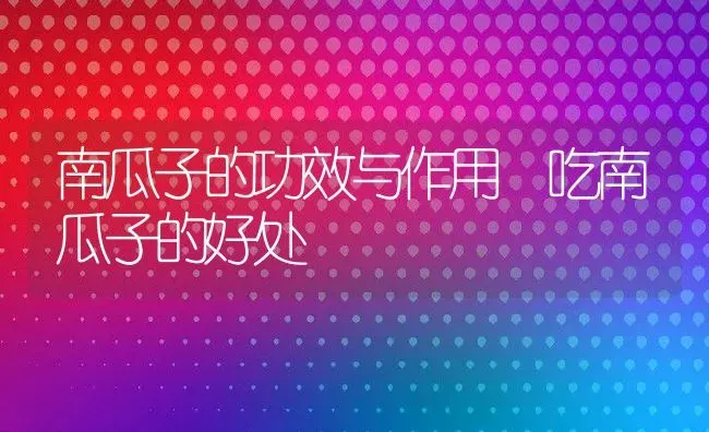 南瓜子的功效与作用 吃南瓜子的好处 | 养殖资料投稿