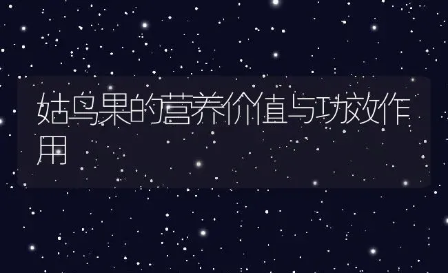 姑鸟果的营养价值与功效作用 | 养殖资料投稿