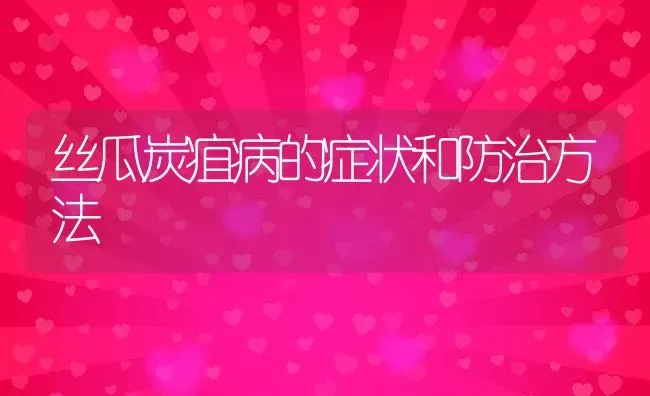 丝瓜炭疽病的症状和防治方法 | 养殖资讯