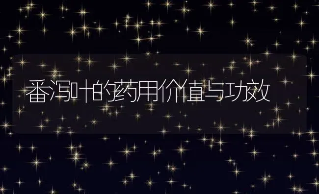 番泻叶的药用价值与功效 | 养殖资料投稿