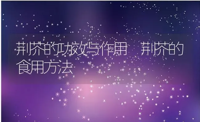 荆芥的功效与作用 荆芥的食用方法 | 养殖资料投稿