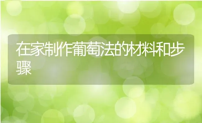 在家制作葡萄法的材料和步骤 | 养殖资料投稿