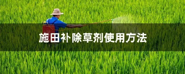 施田补除草剂使用方法