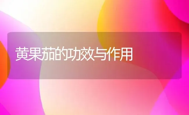 黄果茄的功效与作用 | 养殖资料投稿